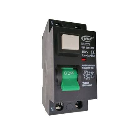 63A Earth Leakage RCD
